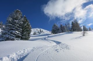 Nachhaltigkeit zur Schneesicherheit